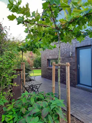 Meppen Versen: Junges und exklusives Einfamilienhaus zu verkaufen! Bild 6