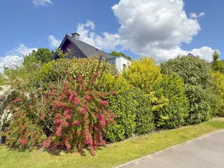 Meppen Versen: Junges und exklusives Einfamilienhaus zu verkaufen! Bild 5