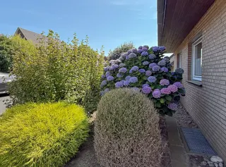 Lingen - Bramsche: Doppelhaushälfte mit 3 Schlafzimmern, Garten und Garage zu verkaufen! Bild 3