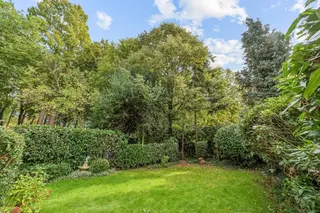 Wohnen in Bestlage: Großzügige und exklusive DHH mit Einliegerwohnung und idyllischem Garten in einzigartiger Innenstadtlage! Bild 5