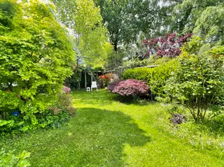 Raus in die Natur: Modernisierter Flachdachbungalow mit Garage in ruhiger Wohnlage von Lingen - Schepsdorf! Bild 20