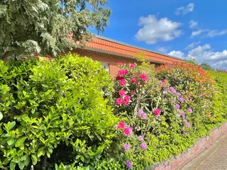Raus in die Natur: Modernisierter Flachdachbungalow mit Garage in ruhiger Wohnlage von Lingen - Schepsdorf! Bild 8