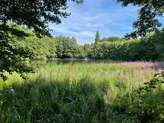 Haus am See: Großzügiges Einfamilienhaus mit idyllischem Garten und der Möglichkeit ebenerdig zu wohnen! Bild 40